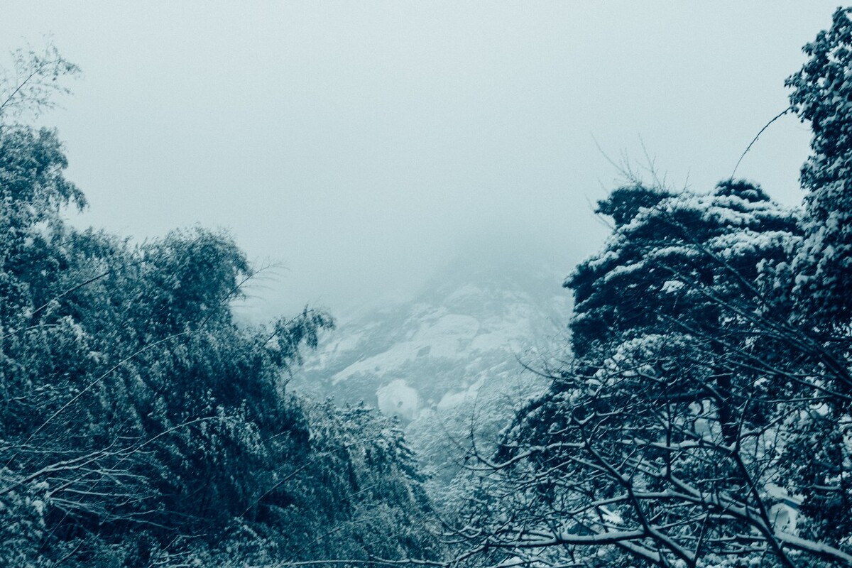雪山 雪景 大自然 自然风光 银妆素裹 万里雪飘 黄山雪景 黄山 雪后的黄山 旅游 旅行 森林雪景