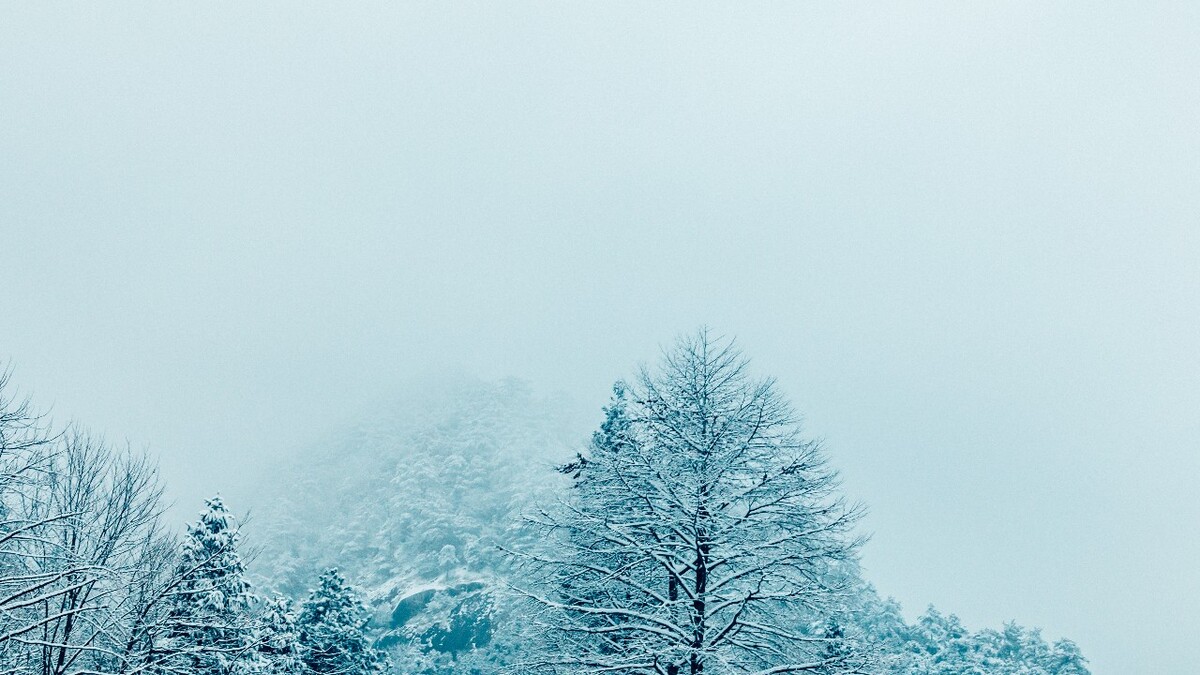 雪景 大自然 自然 风光 黄山雪景 摄影 银妆素裹 千里冰封 万里雪飘 旅游 树枝上的雪 森林雪景