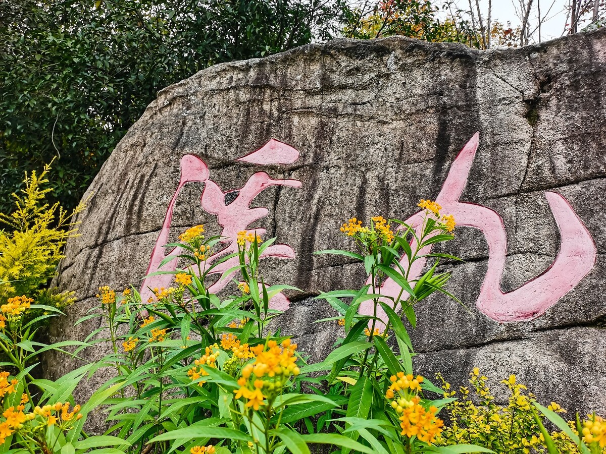 九溪 景点 风景区 杭州  风光 风景 景点 图片 摄影 