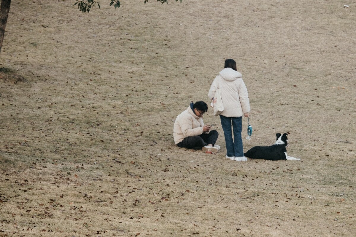 人与动物 宠物摄影 摄影 动物 边牧 边境牧羊犬 如影随形 飞盘狗世界杯大赛的主角 和睦相处 嬉戏 训练