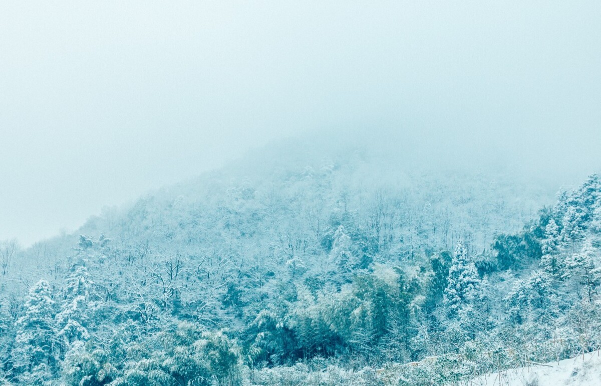 雪山 雪景 大自然 自然风光 银妆素裹 万里雪飘 黄山雪景 黄山 雪后的黄山 旅游 旅行 森林雪景