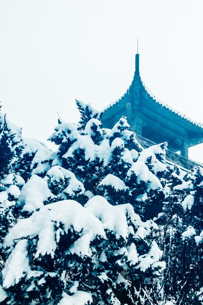 摄影 雪景 大自然 黄山 黄山雪景 雪中黄山 森林雪景 建筑 素材