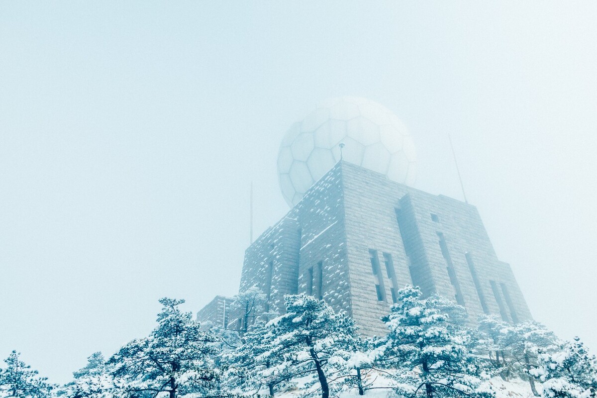 植物 雪景 大自然 自然 雪中的植物 白雪 黄山雪景 索道 黄山 森林雪景