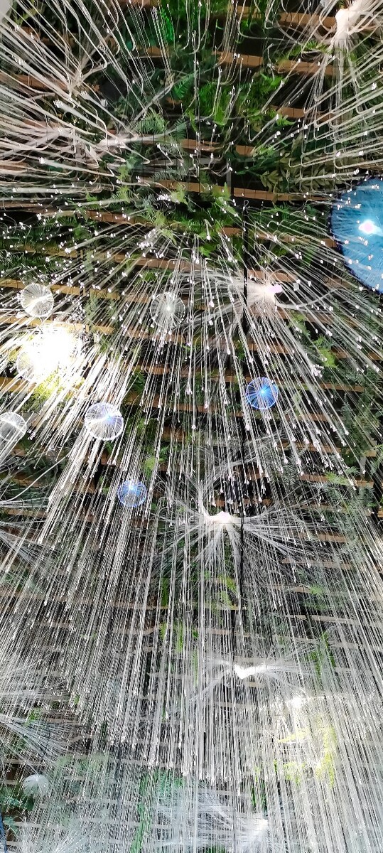 灯 灯光 人工 led灯  光线 装饰 摄影 图片 摄影  特写 素材