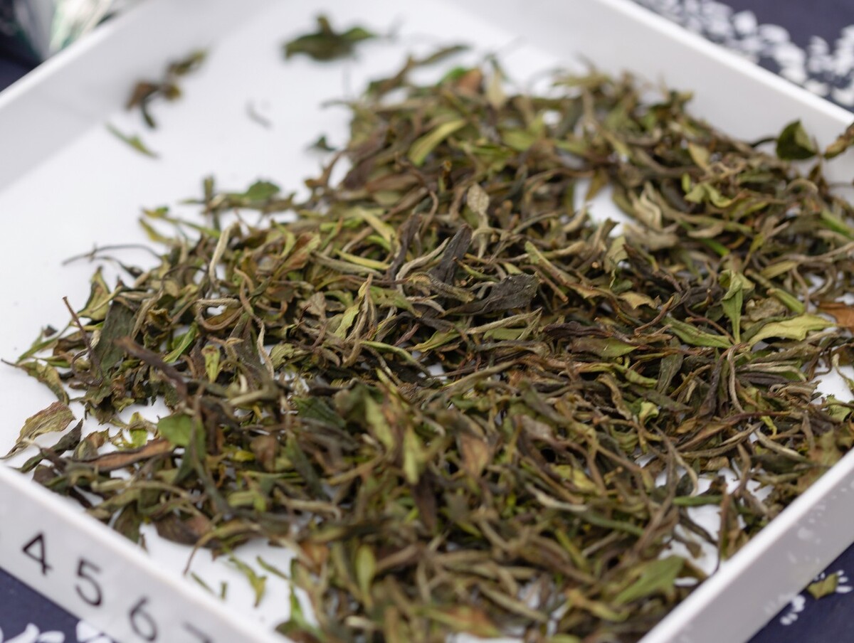茶叶 茶 茗 槚 荈 叶孑 芽