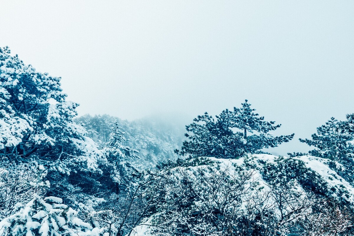 雪山 雪景 大自然 自然风光 银妆素裹 万里雪飘 黄山雪景 黄山 雪后的黄山 旅游 旅行 森林雪景