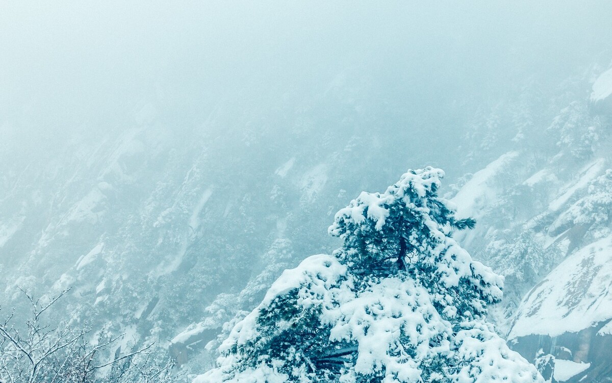 雪山 雪景 大自然 自然风光 银妆素裹 万里雪飘 黄山雪景 黄山 雪后的黄山 旅游 旅行 森林雪景