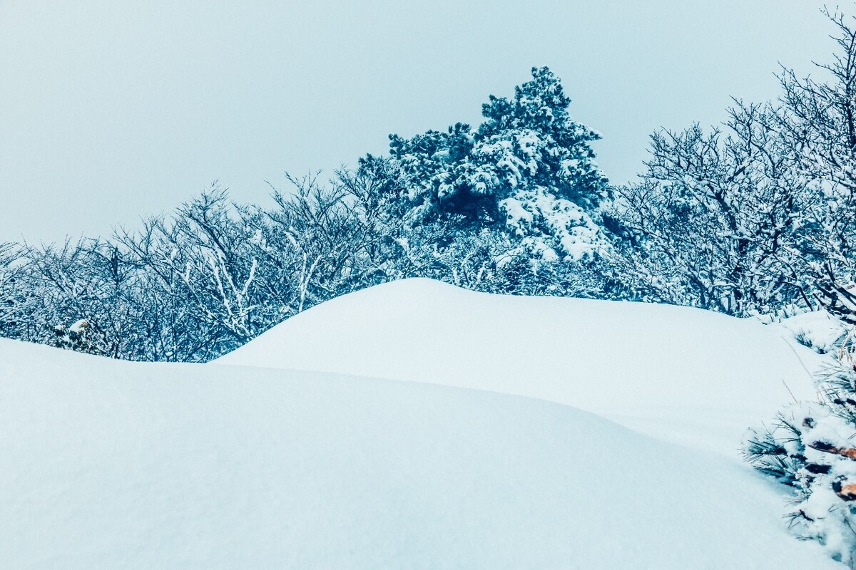 雪山 雪景 大自然 自然风光 银妆素裹 万里雪飘 黄山雪景 黄山 雪后的黄山 旅游 旅行 森林雪景