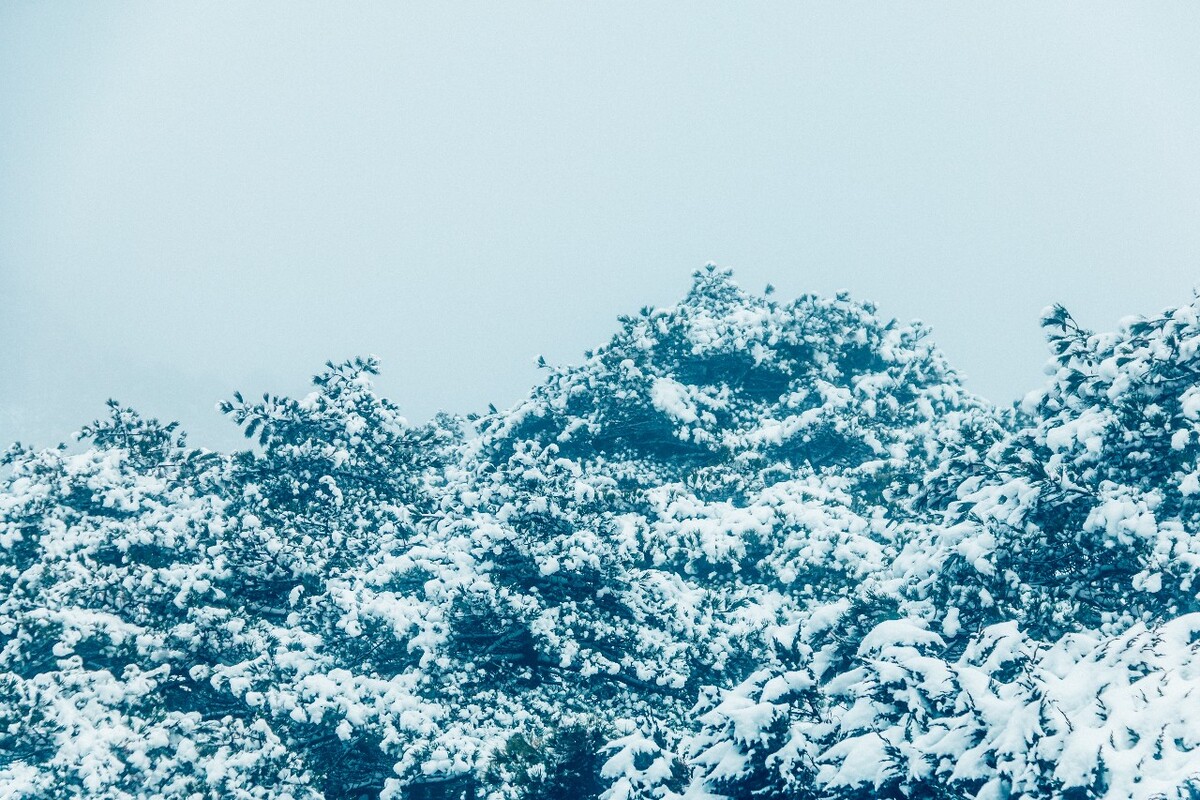 雪山 雪景 大自然 自然风光 银妆素裹 万里雪飘 黄山雪景 黄山 雪后的黄山 旅游 旅行 森林雪景