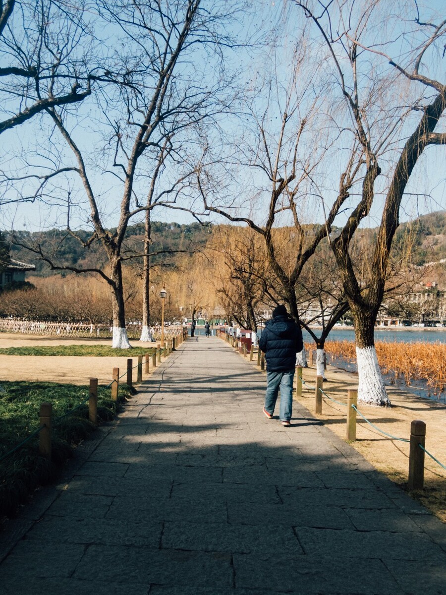 冬日西湖 风光 风景 自然  湖边 西湖 人行道 西湖风景 