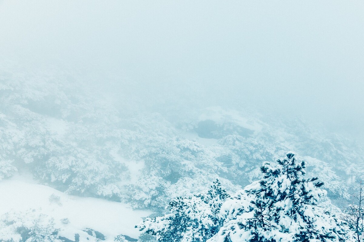 雪山 雪景 大自然 自然风光 银妆素裹 万里雪飘 黄山雪景 黄山 雪后的黄山 旅游 旅行 森林雪景