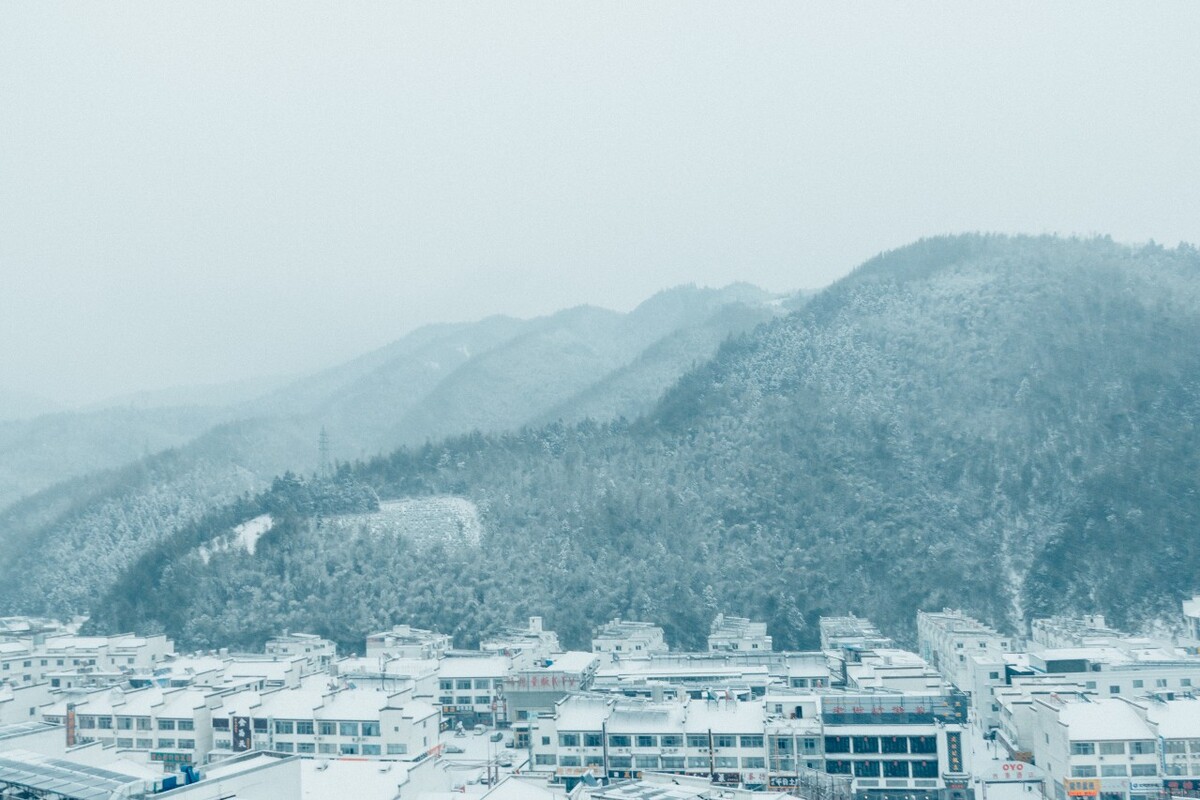 摄影 雪景 大自然 黄山 黄山雪景 雪中黄山 森林雪景 植物上的雪 小草 雪山 山峰
