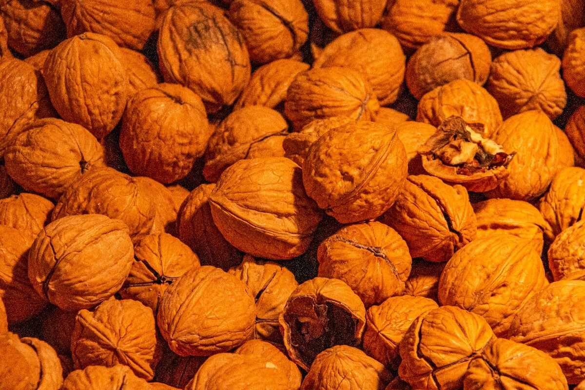 核桃  坚果 营养 美味 
