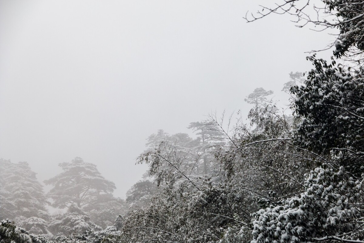 雪山 雪景 大自然 自然风光 银妆素裹 万里雪飘 黄山雪景 黄山 雪后的黄山 旅游 旅行 森林雪景