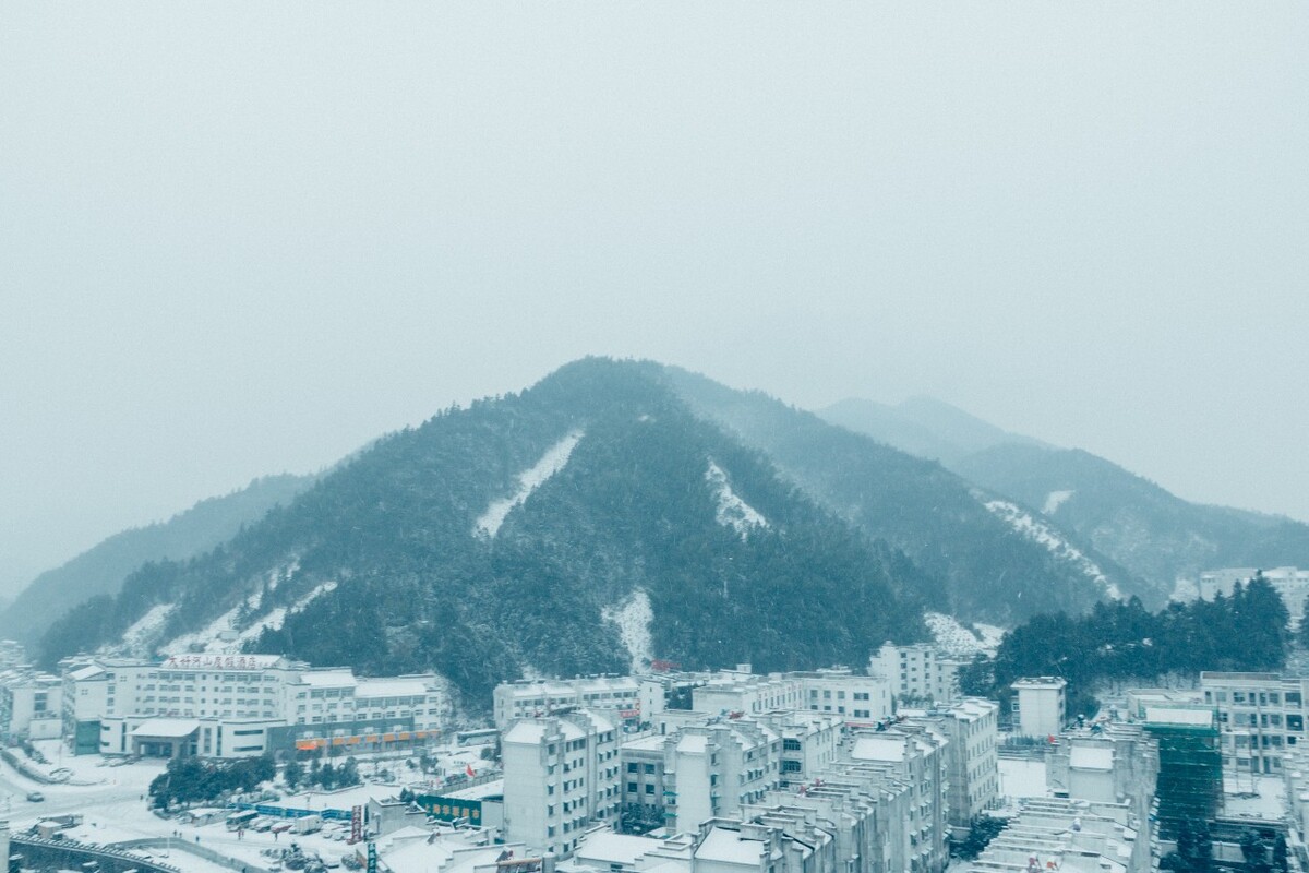 植物 雪景 大自然 自然 雪中的植物 森林雪景 银妆素裹 摄影 雪山 城市建筑