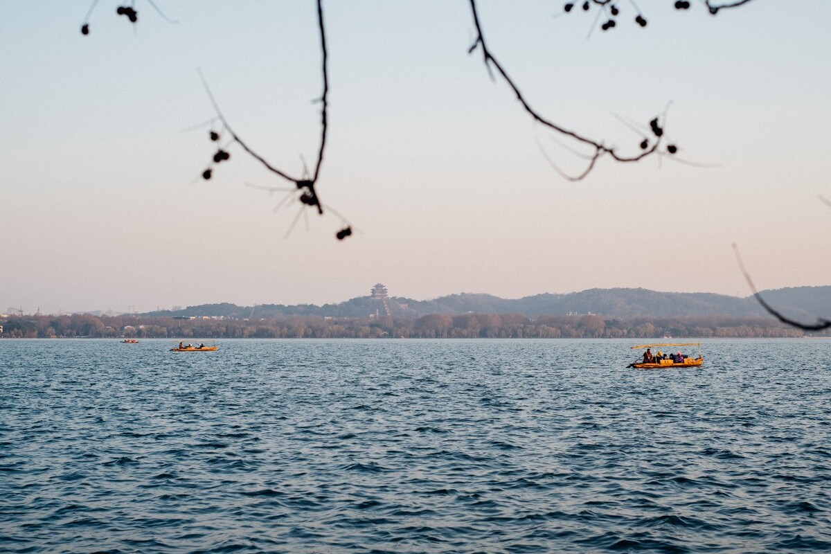 风光 风景 游船 西湖 湖水 自然  树枝 船 特写 图片