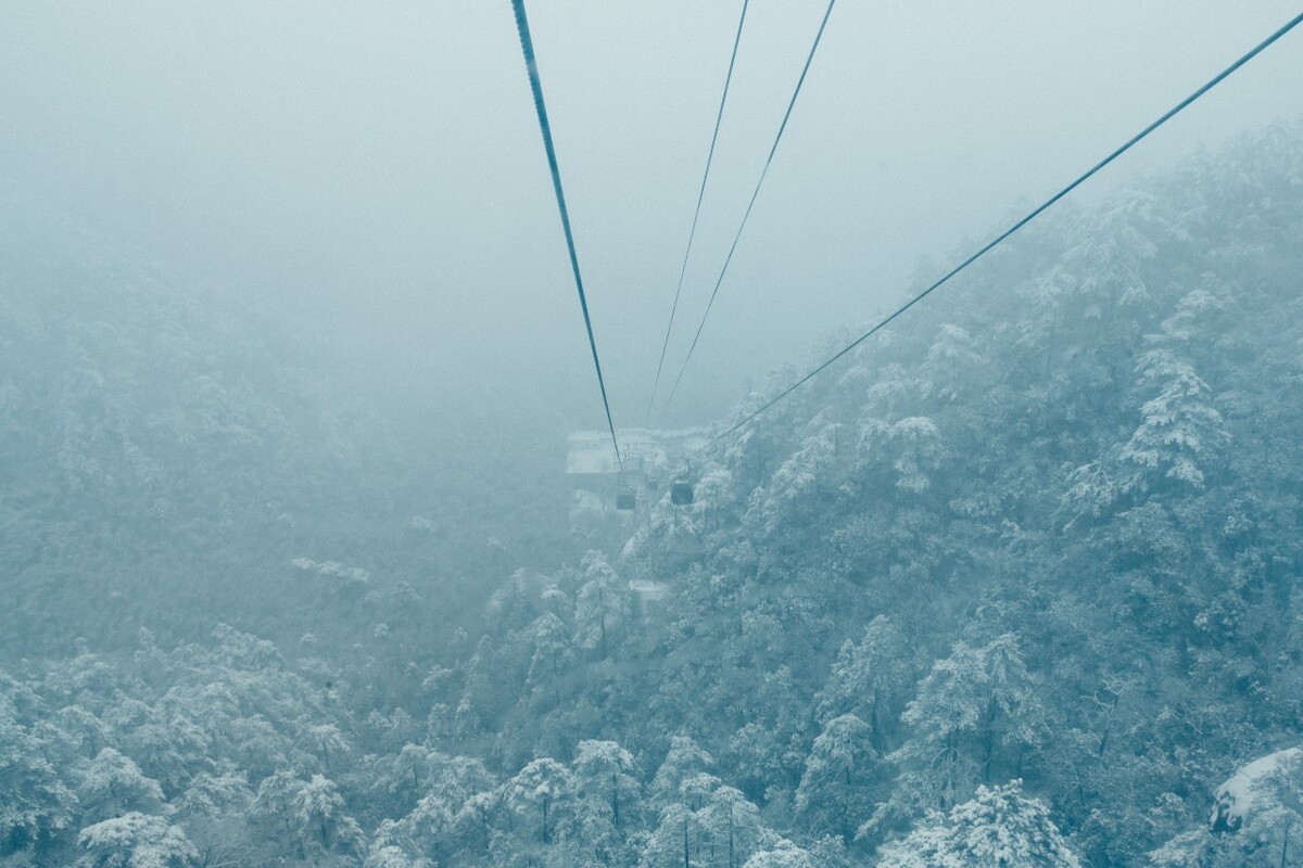 植物 雪景 大自然 自然 雪中的植物 白雪 黄山雪景 索道 黄山 森林雪景