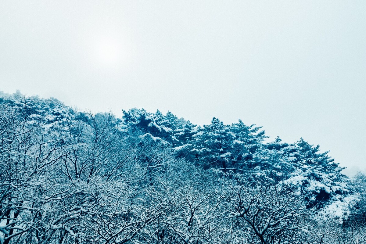 雪山 雪景 大自然 自然风光 银妆素裹 万里雪飘 黄山雪景 黄山 雪后的黄山 旅游 旅行 森林雪景