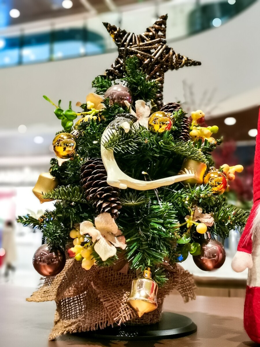 圣诞 圣诞节 圣诞素材 圣诞氛围 图片 摄影 特写 新年 鹿 圣诞元素 照片 艺术 生活 自然 Merry christmas 圣诞树 圣诞老人