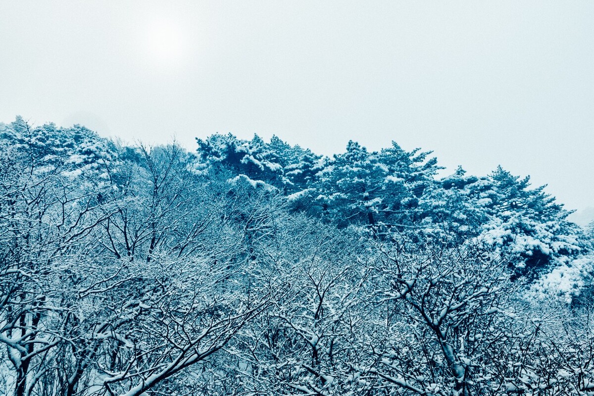 雪山 雪景 大自然 自然风光 银妆素裹 万里雪飘 黄山雪景 黄山 雪后的黄山 旅游 旅行 森林雪景