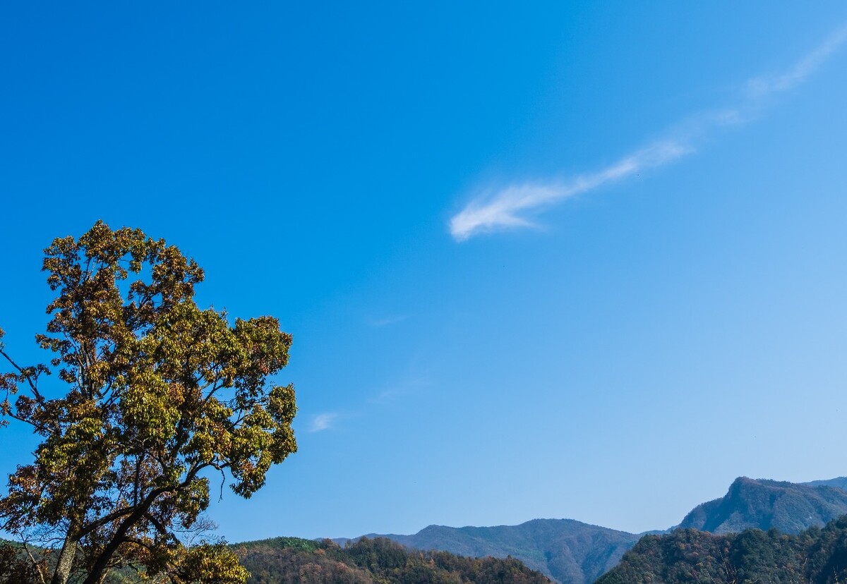 蓝天白云 天空云彩 摄影 素材 天空 云彩 风光 旅行 风光 白云 树木