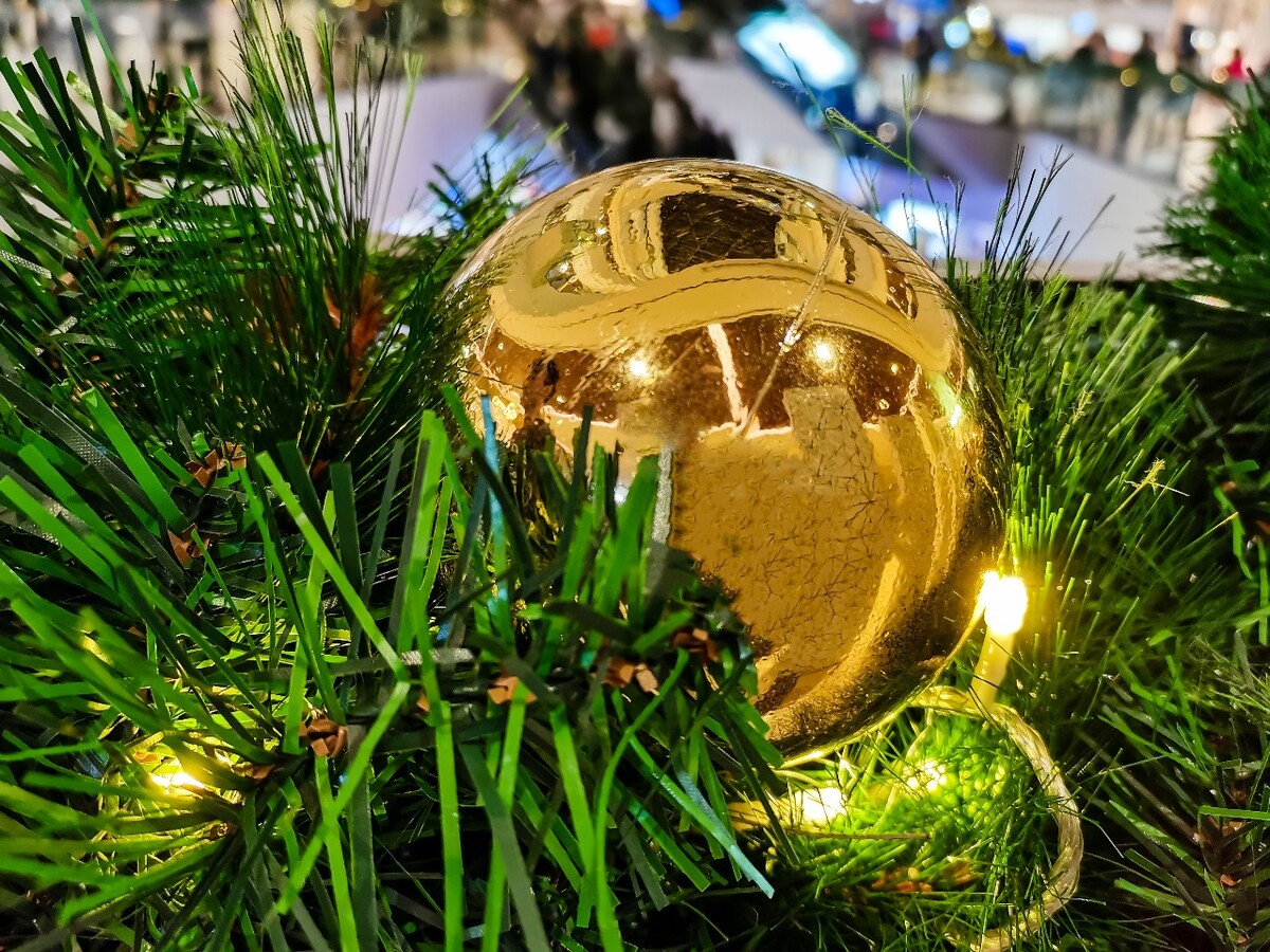 圣诞 圣诞节 圣诞素材 圣诞氛围 图片 摄影 特写 新年 鹿 圣诞元素 照片 艺术 生活 自然 Merry christmas