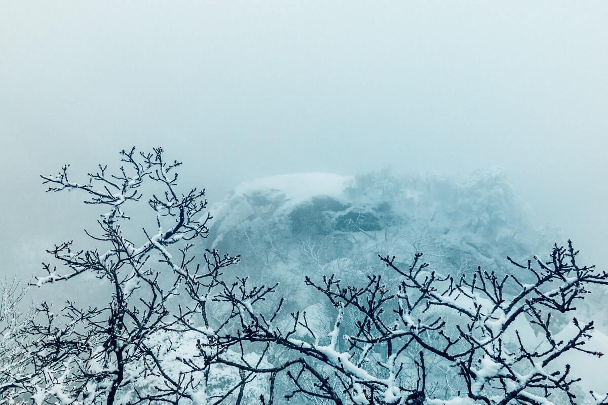 雪景 大自然 自然 风光 黄山雪景 摄影 银妆素裹 千里冰封 万里雪飘 旅游 树枝上的雪 森林雪景