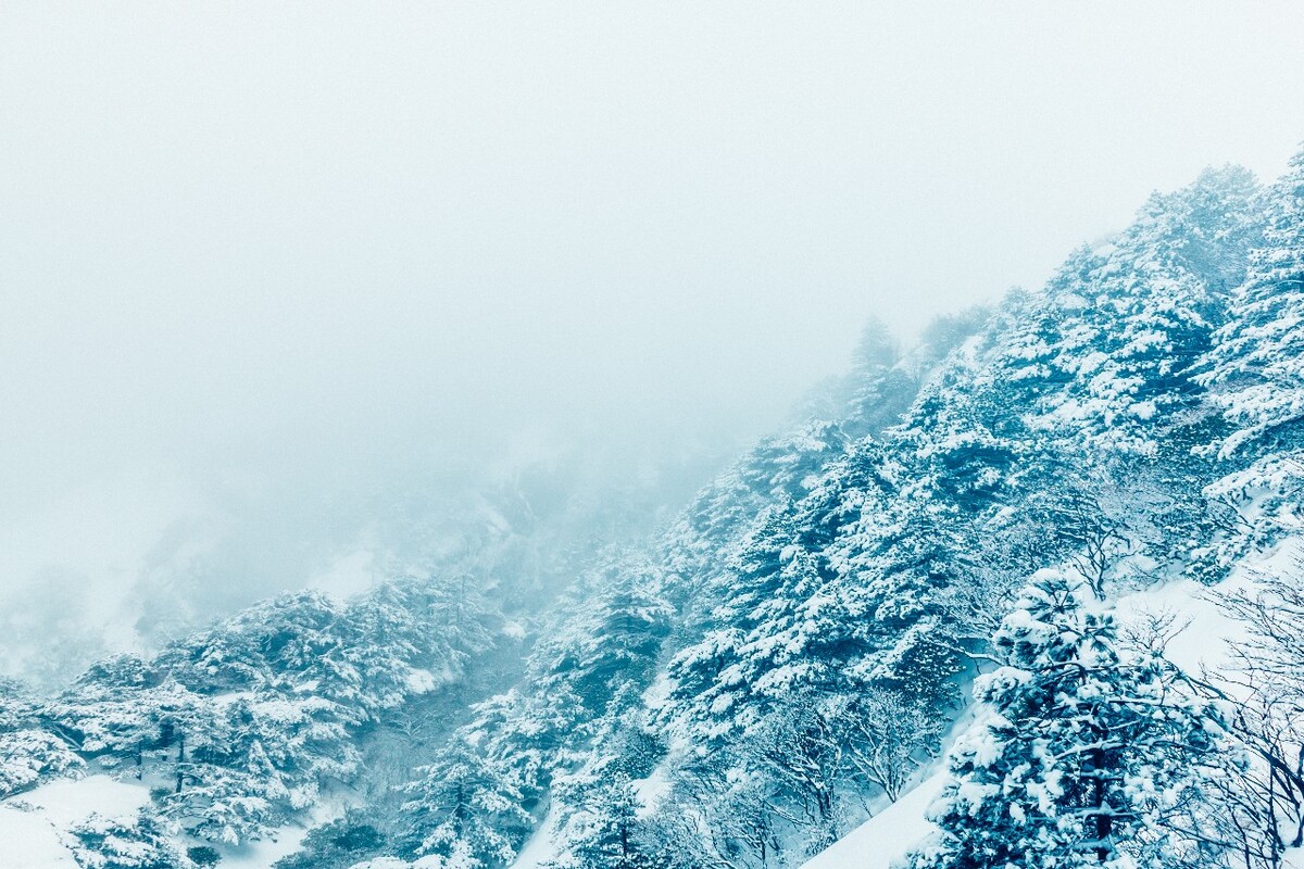 雪山 雪景 大自然 自然风光 银妆素裹 万里雪飘 黄山雪景 黄山 雪后的黄山 旅游 旅行 森林雪景