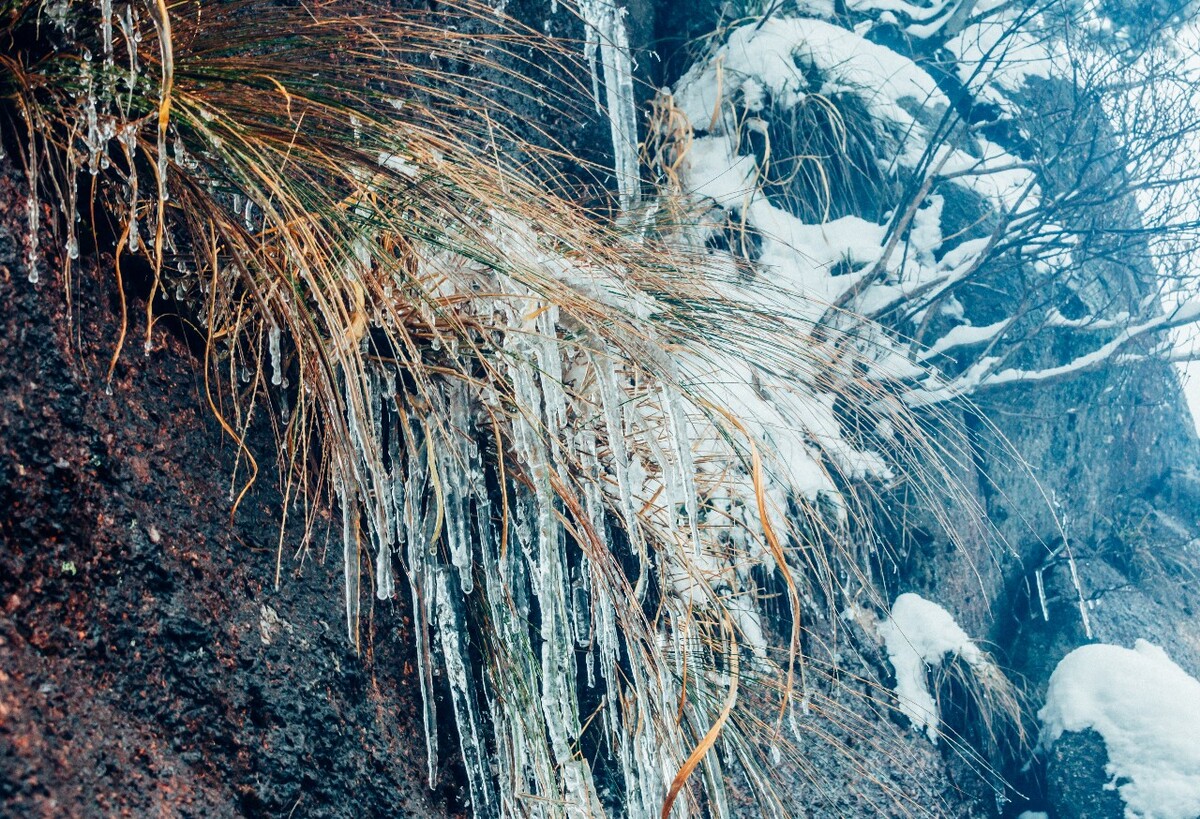 摄影 雪景 大自然 黄山 黄山雪景 雪中黄山 森林雪景 建筑 素材