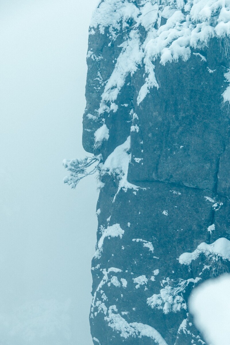 摄影 雪景 大自然 黄山 黄山雪景 雪中黄山 森林雪景 植物上的雪 松树 悬崖