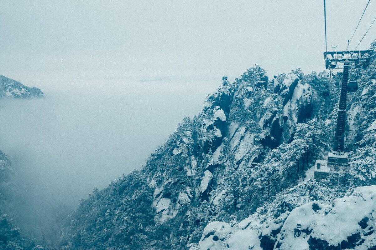 摄影 雪景 大自然 黄山 黄山雪景 雪中黄山 森林雪景 植物上的雪 小草 雪山 山峰