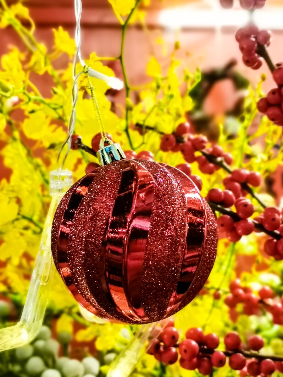 圣诞 圣诞节 圣诞素材 圣诞氛围 图片 摄影 特写 新年 鹿 圣诞元素 照片 艺术 生活 自然 Merry christmas