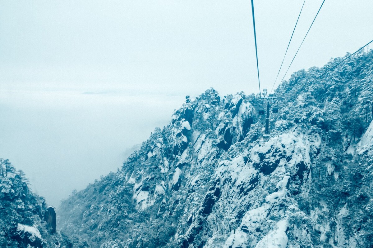 植物 雪景 大自然 自然 雪中的植物 白雪 黄山雪景 索道 黄山 森林雪景