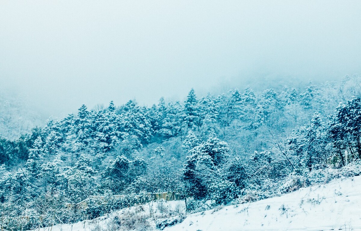 雪山 雪景 大自然 自然风光 银妆素裹 万里雪飘 黄山雪景 黄山 雪后的黄山 旅游 旅行 森林雪景