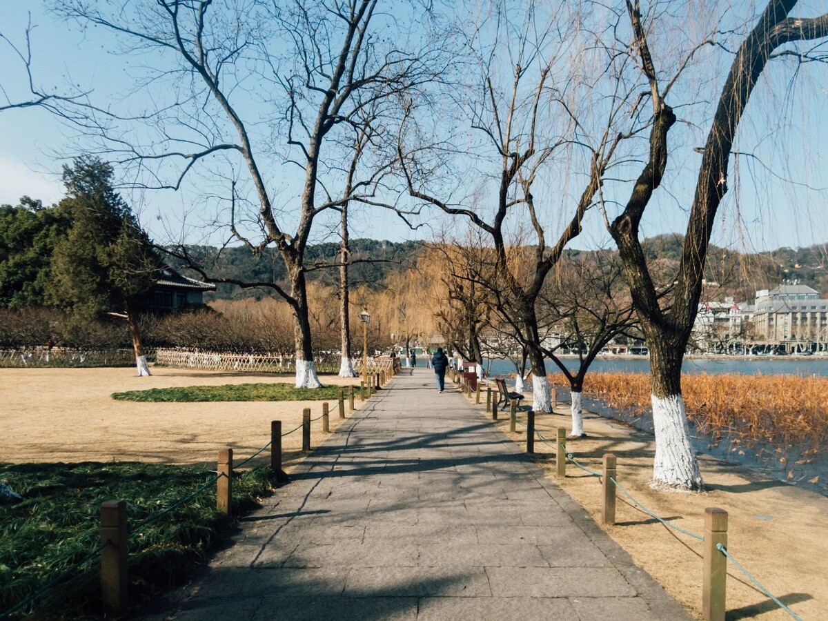 冬日西湖 风光 风景 自然  湖边 西湖 人行道 西湖风景 