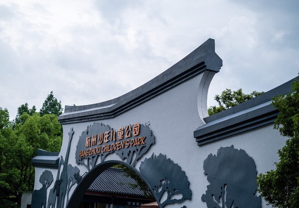 建筑 摄影 杭州少年儿童公园 飞鸟  鸟儿 飞行中的鸟儿 