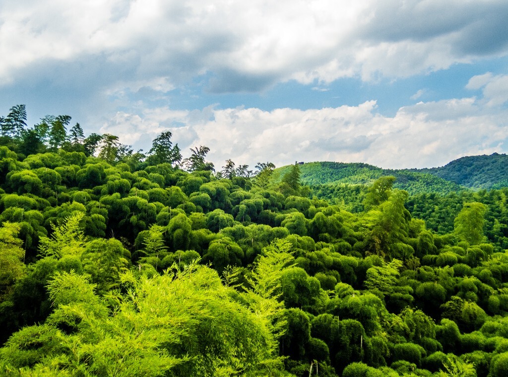 风光 自然 莫干山风光 自然 摄影 旅行 色彩 帐篷 青山 自然风光 色彩
