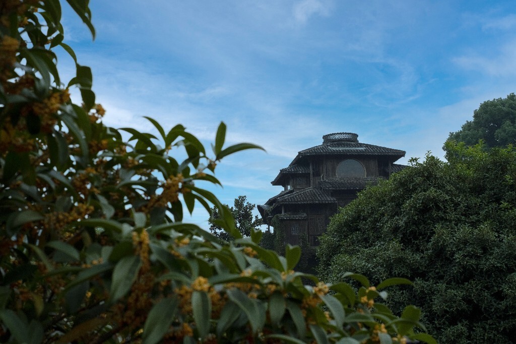 桂花 建筑 汤屋 风光 网红建筑 摄影 盛开的桂花
