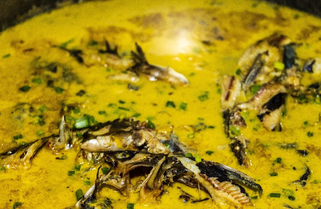 食物 美食 静物 摄影 旅行 白菜 炒菜 炒肉 鱼