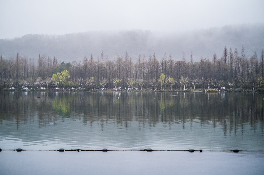 西湖风光 风光 风景 西湖 图片 摄影