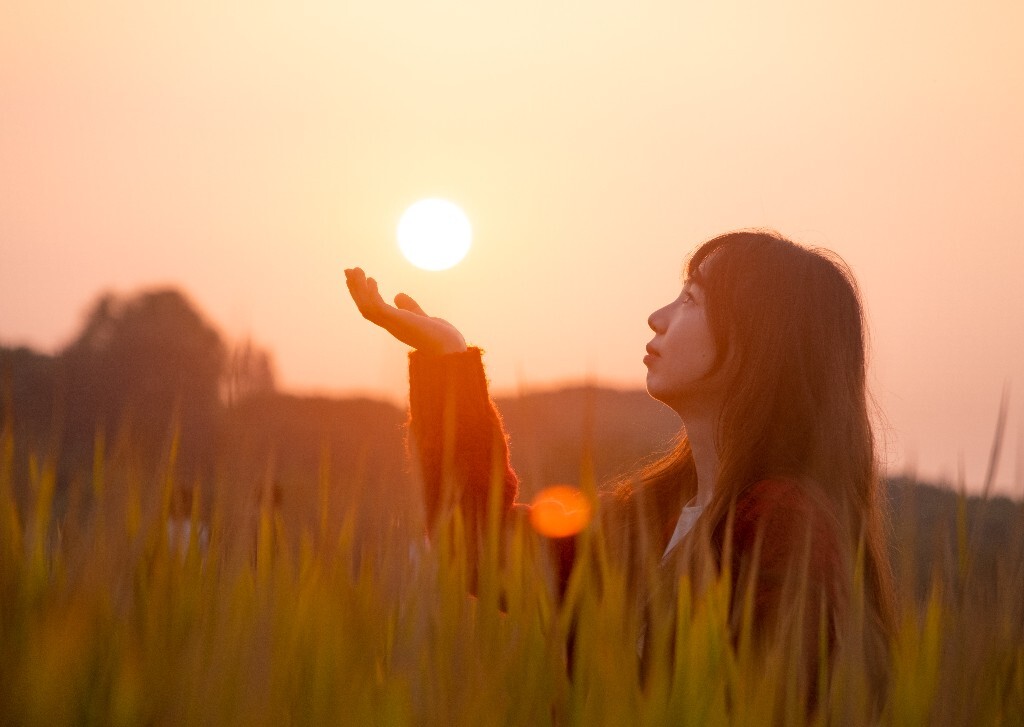 夕阳 秋季 秋天 人像 稻田 风光 旅行 色彩 夕阳下的稻田
