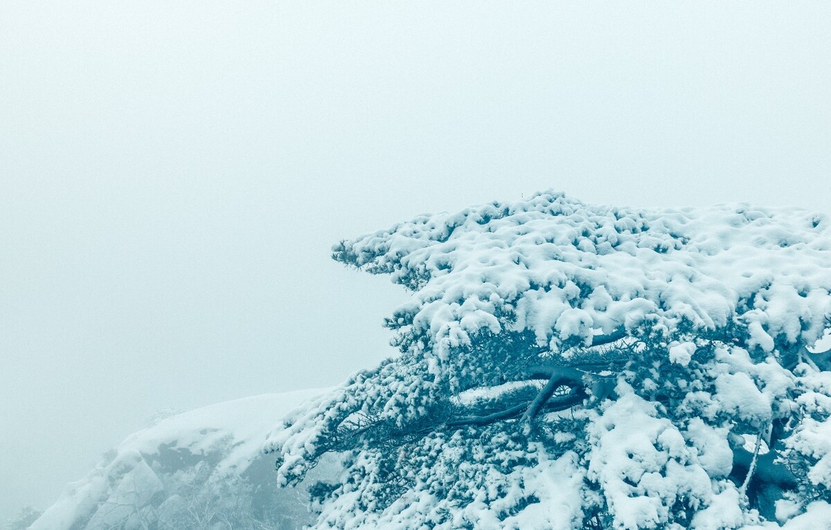 雪山 雪景 大自然 自然风光 银妆素裹 万里雪飘 黄山雪景 黄山 雪后的黄山 旅游 旅行 森林雪景