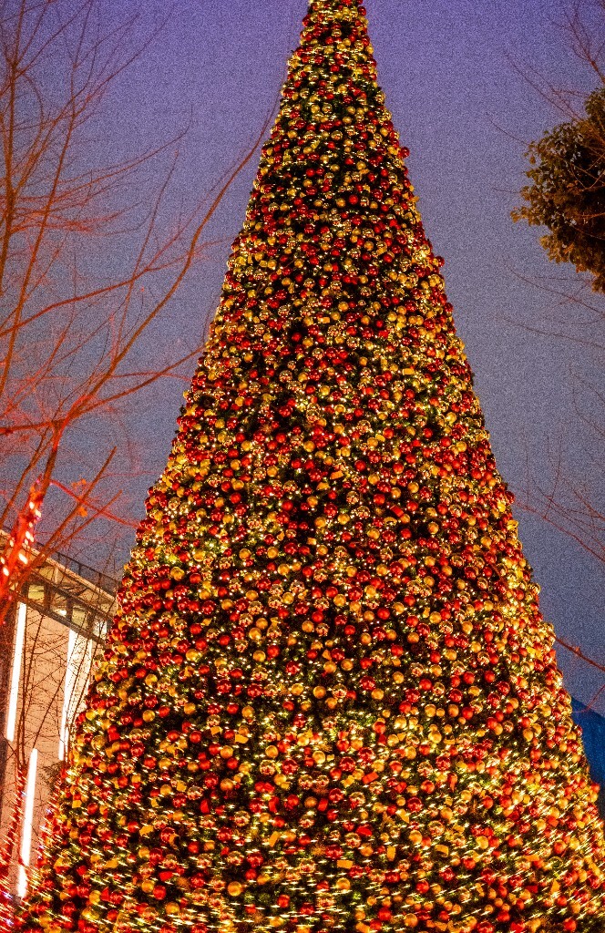 圣诞素材 街拍 旅行 摄影 圣诞树 松果 圣诞老人 小鹿 装饰素材 圣诞球