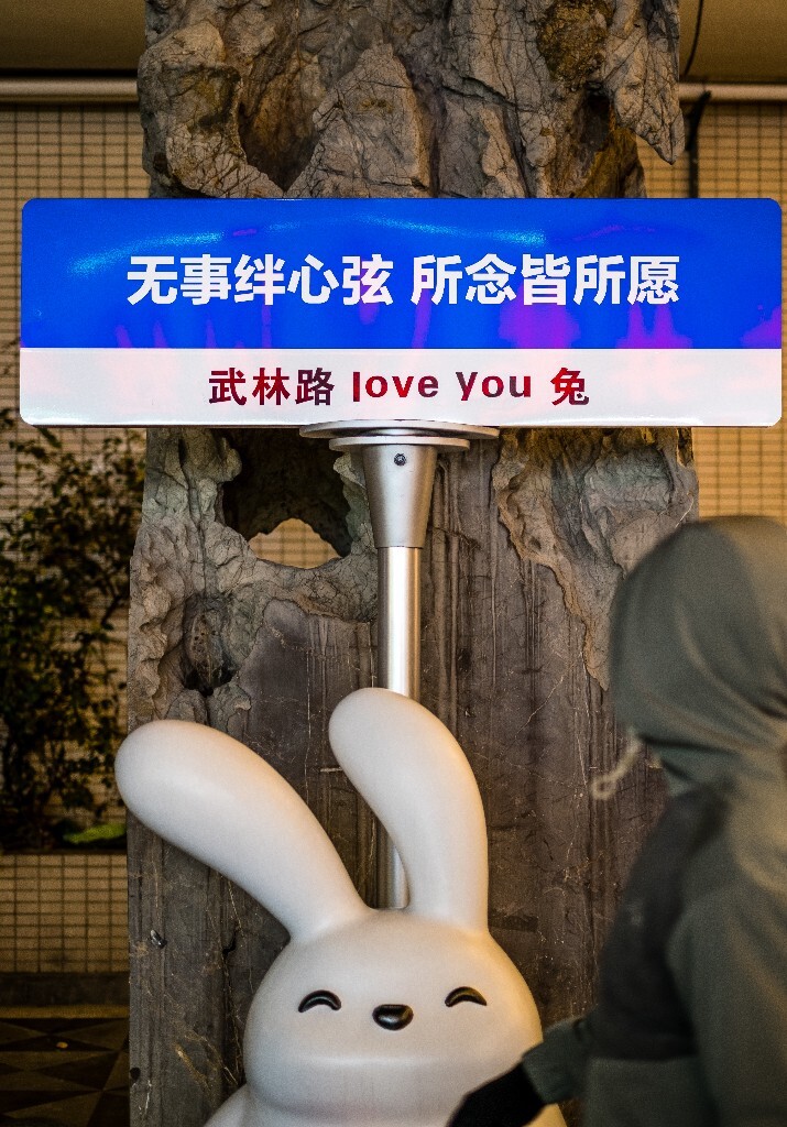 兔子 旅行 街拍  无事绊心弦 所念皆所愿  武林路 love you 兔子