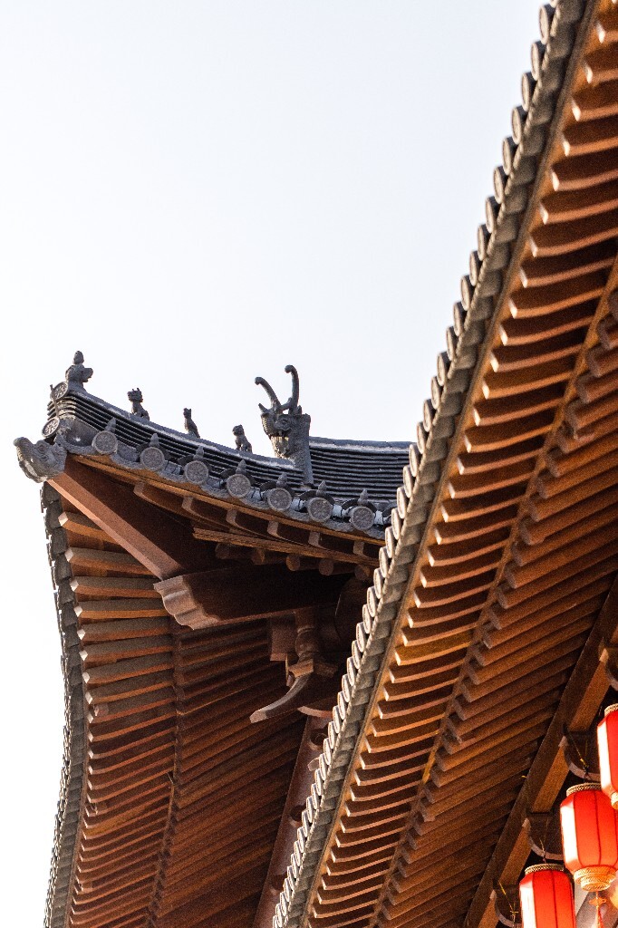 德寿宫 灯笼 春节 过年 氛围 摄影 建筑 旅行 街拍 地标建筑 色彩 城市
