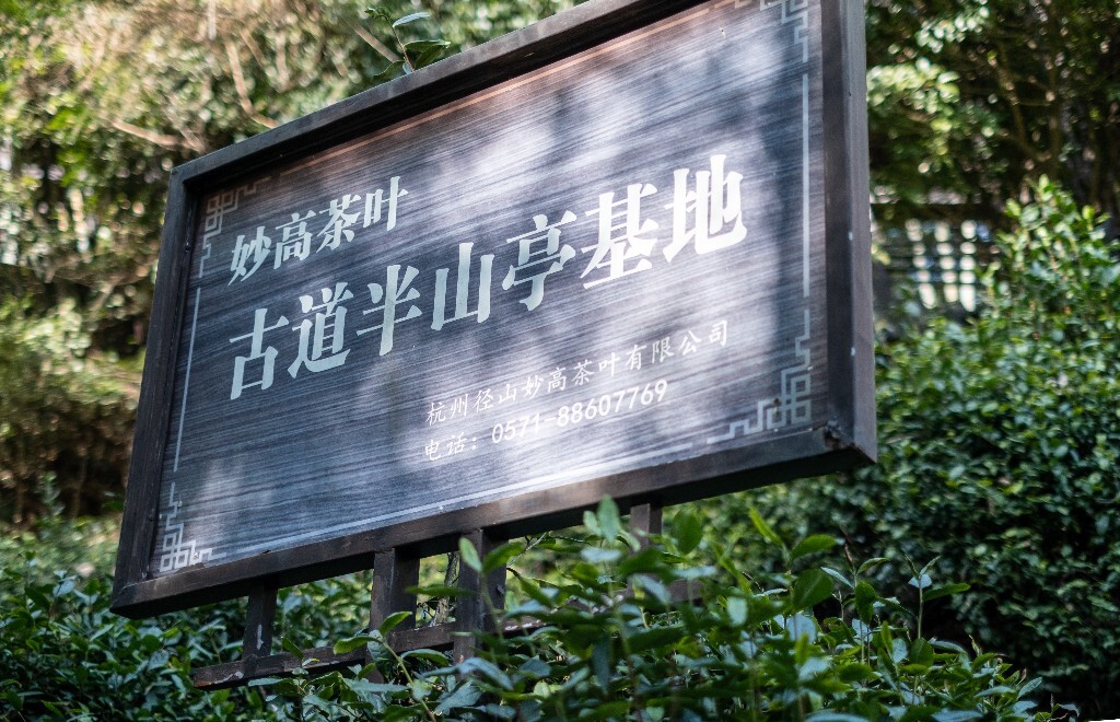 风光 山间小路 自然 风光 径山寺风光 曲径通幽 旅行 爬山 灯 光与影 光影的故事 牌子