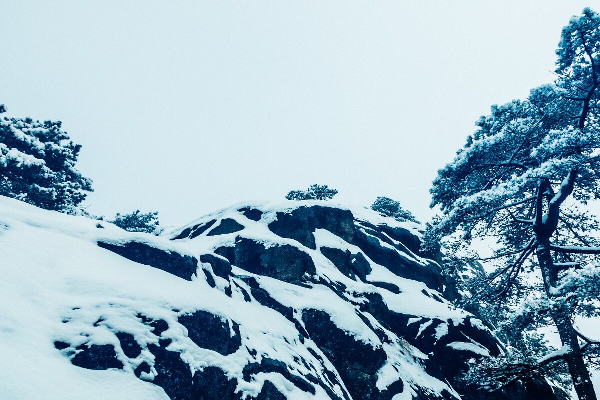 摄影 雪景 大自然 黄山 黄山雪景 雪中黄山 森林雪景