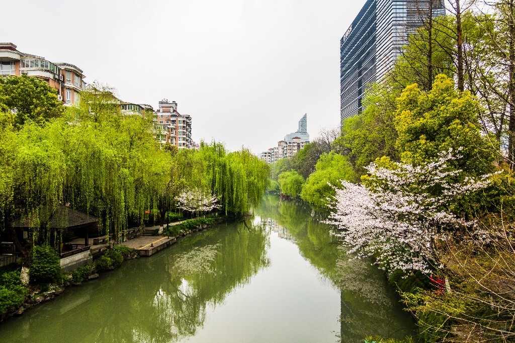 建筑 风光 小河 柳树 东河 河水 自然 风光 旅行