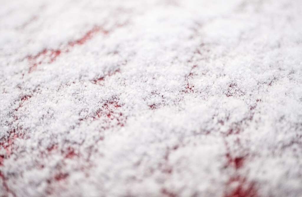 雪 雪景 自然 风光 环境 摄影 白雪 雪花 2024的第一场雪