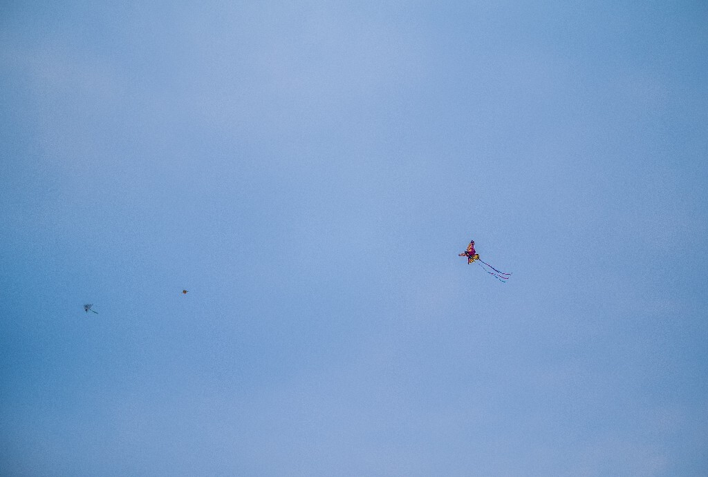风筝 摄影 风光 自然 手工 旅行 户外 天空 蓝天白云